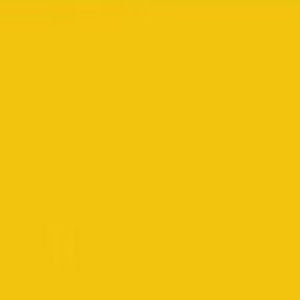 Meet your Posher, Dakota